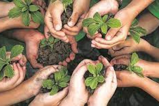 PROVINCIA CELEBRA LA SEMANA DE LA EDUCACIÓN AMBIENTAL EN LAS ESCUELAS DE E