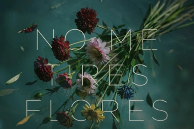 Alejandro Sanz estrena “No me tires flores” junto a Rels B